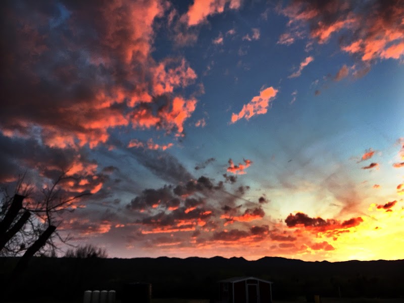 Palo Verde RV Park, LLC photo 4