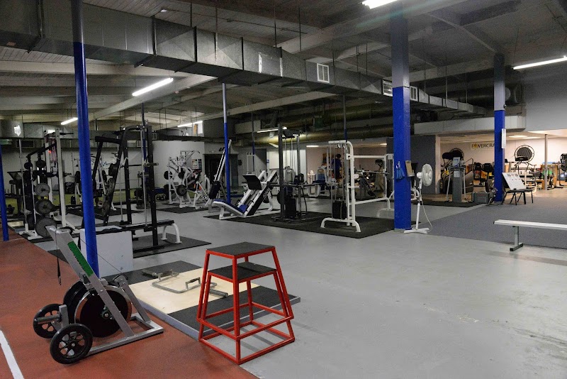 Photo of Gamespeed Sports Training