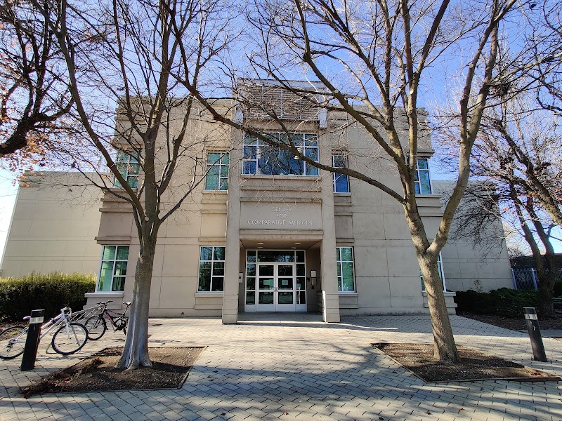 Photo of Center for Immunology and Infectious Diseases