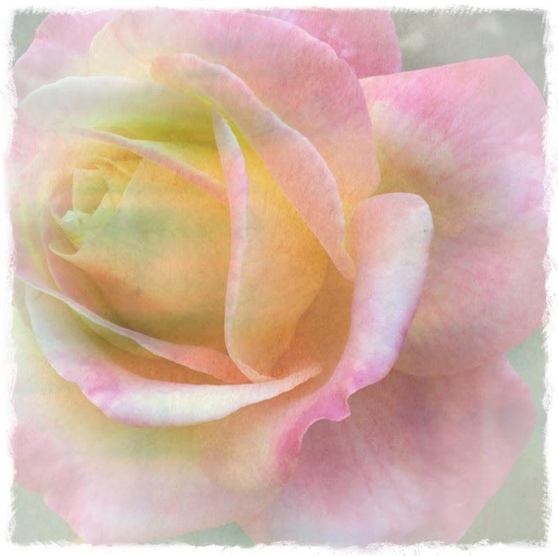 Radiant You, Massage & Coaching photo 5