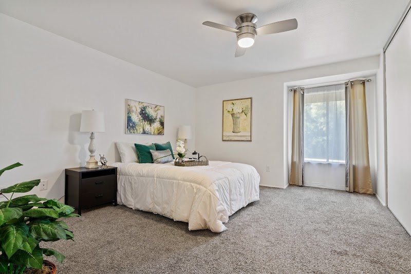 Sakura Realty East Bay - Yasumi Davis, CEO / MBA photo 5