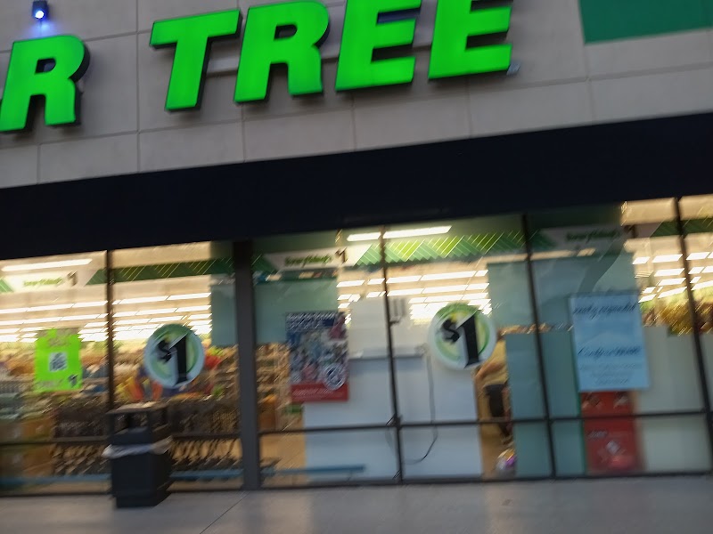 Dollar Tree photo 5