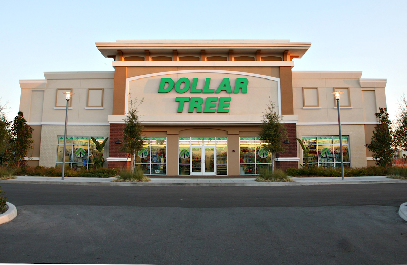 Dollar Tree photo 3