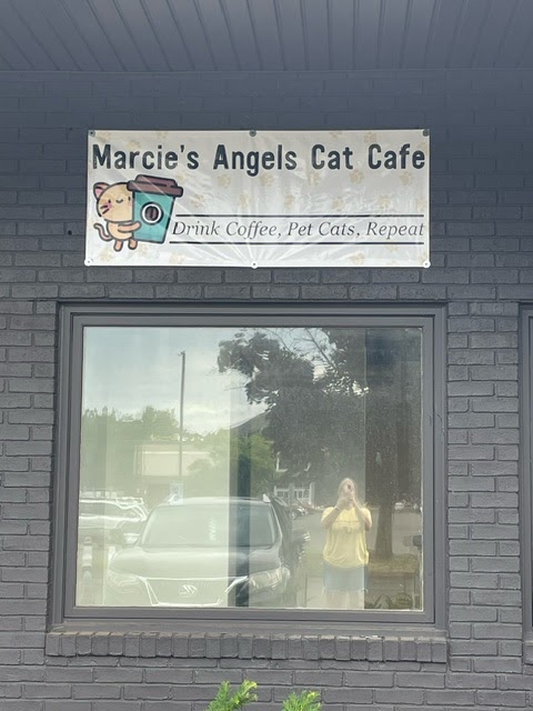 Photo of Marcie's Angels Cat Cafe