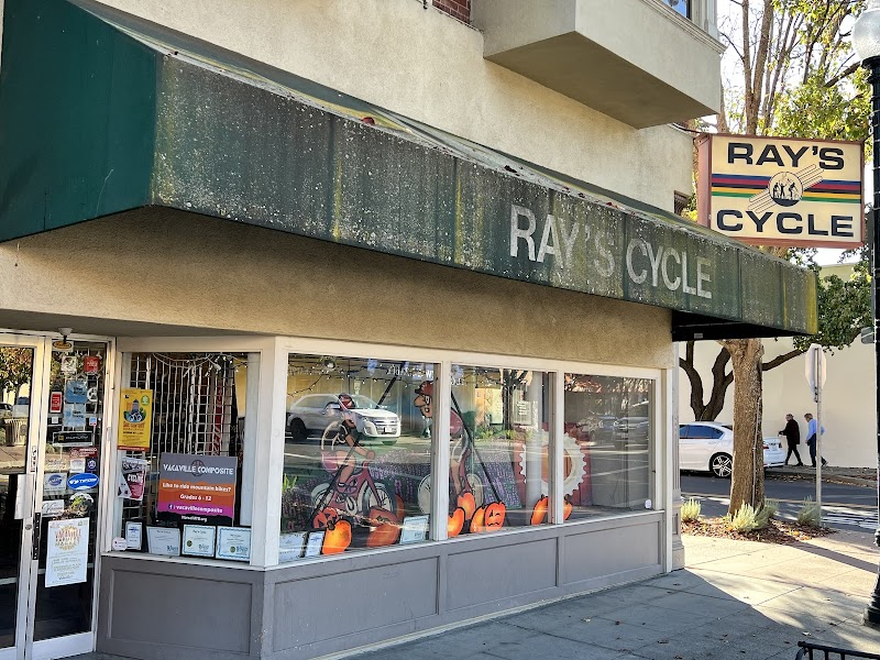 Ray's Cycles photo 4