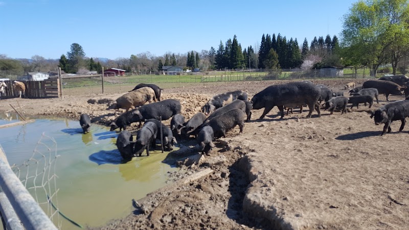 Photo of Takenoko Farms