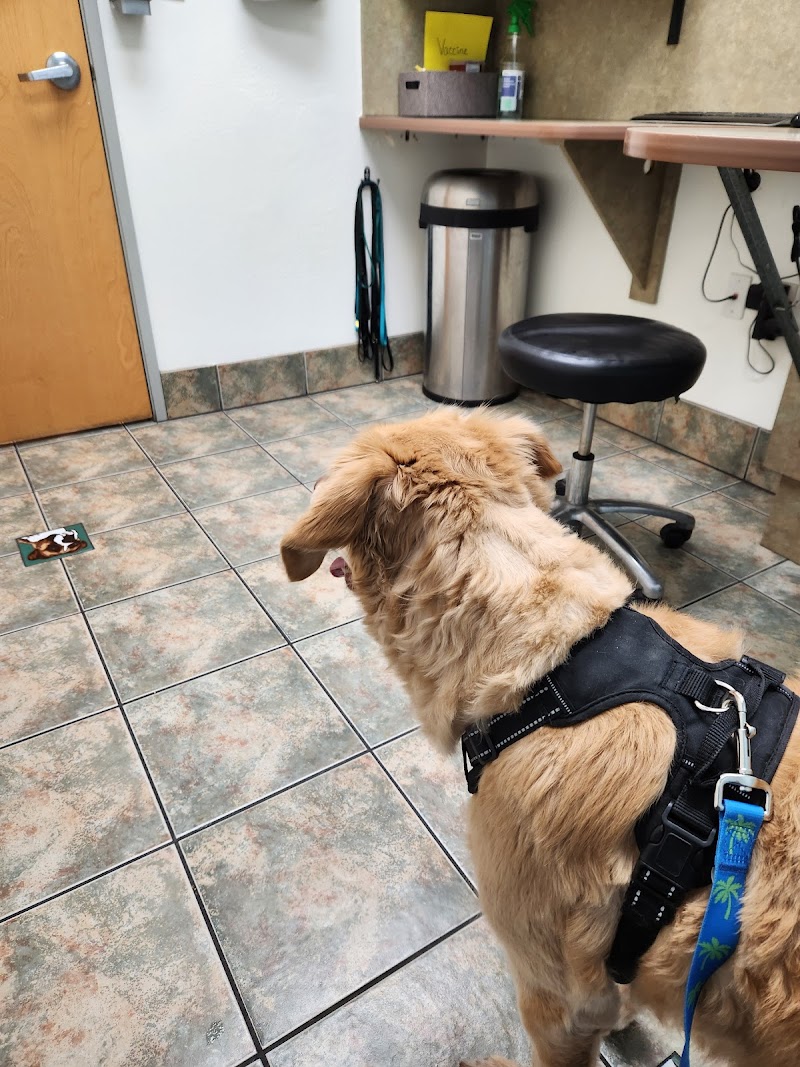 Lovet Pet Health Care - Goodyear photo 2