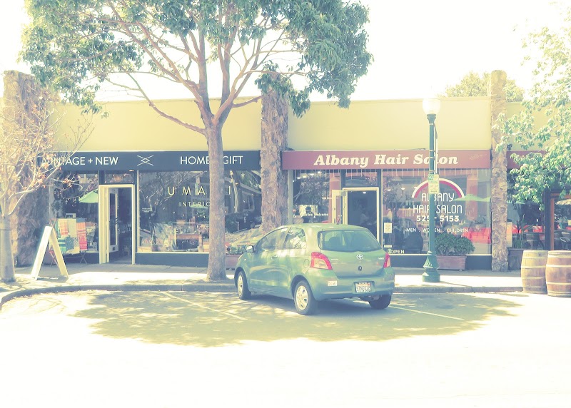 Albany Hair Salon photo 4