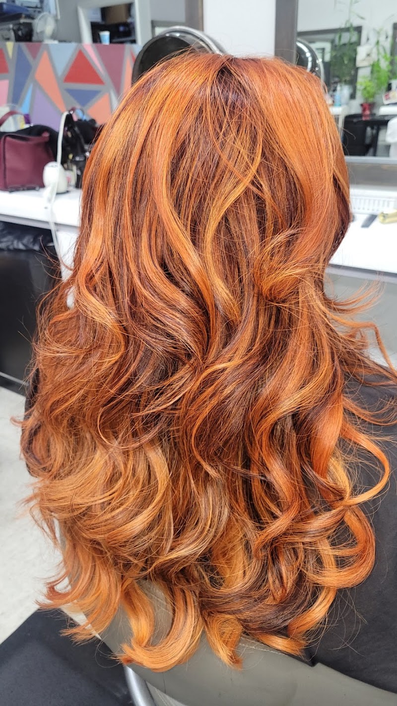 Albany Hair Salon photo 3