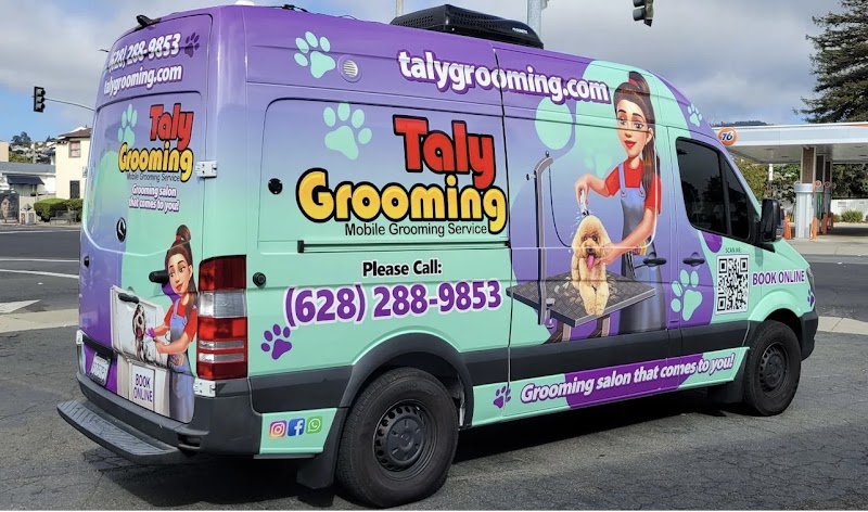 Taly Grooming photo 3