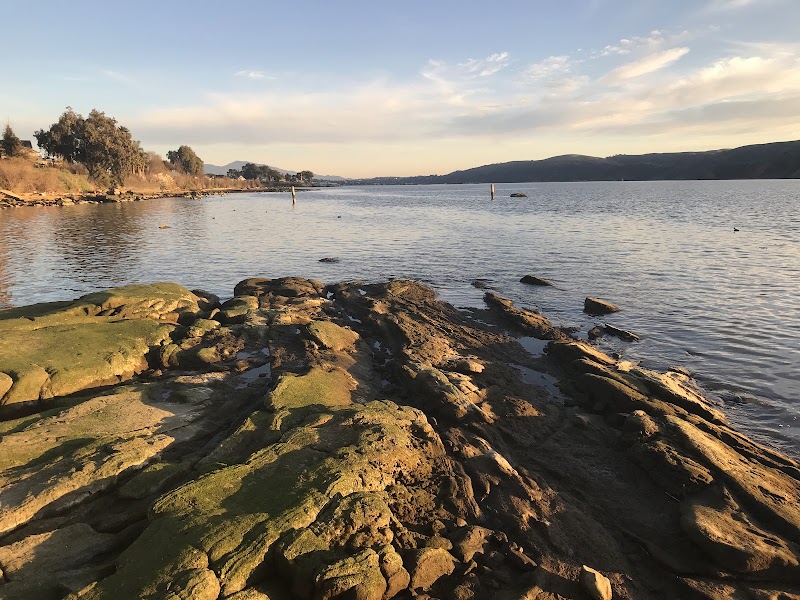 Photo of Matthew Turner Park