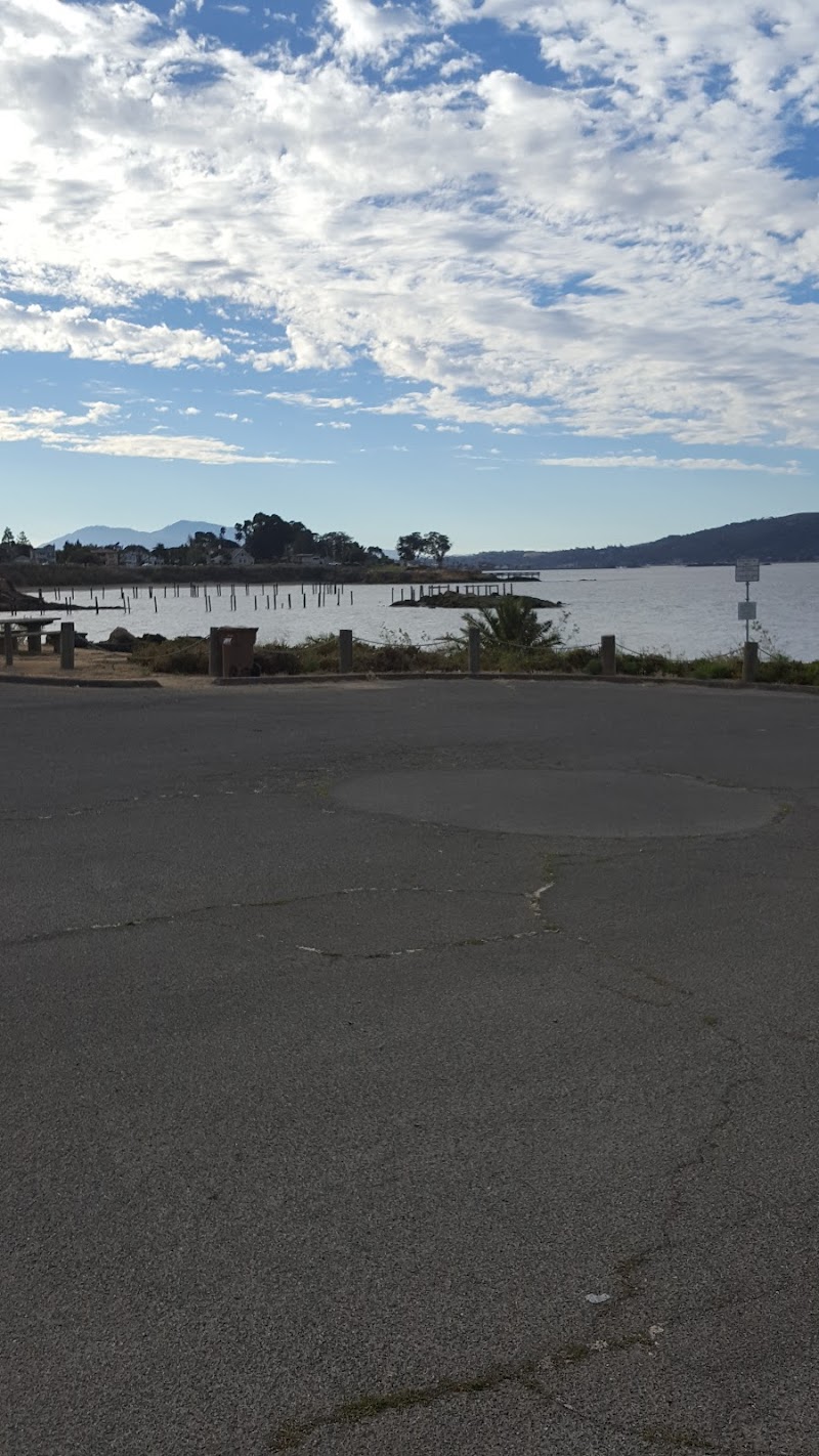 Matthew Turner Park photo 4