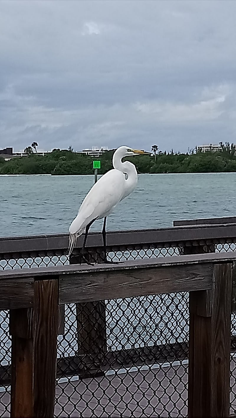 Fishing Pier photo 5