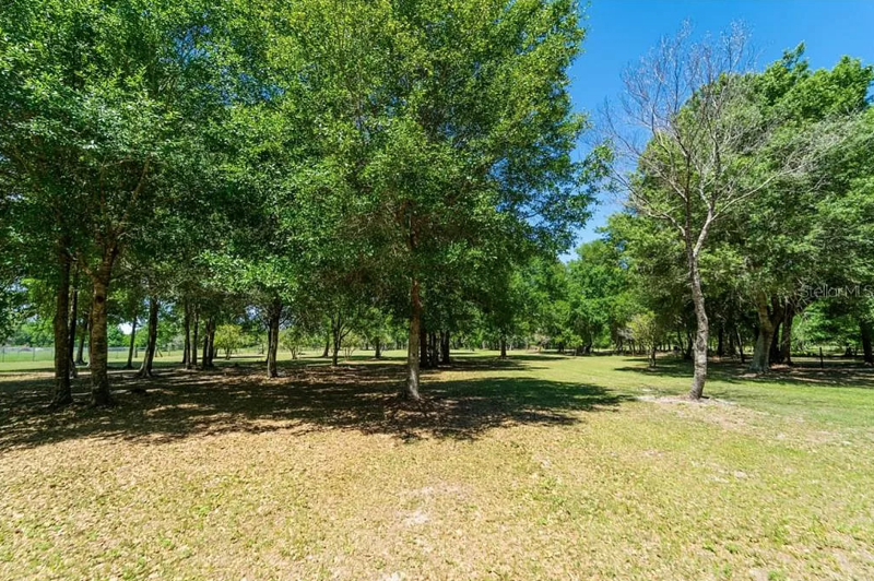 Photo of Tropical Oasis Garden