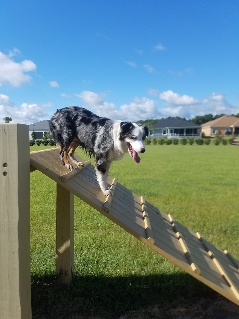 Photo of Dudley Canine Park