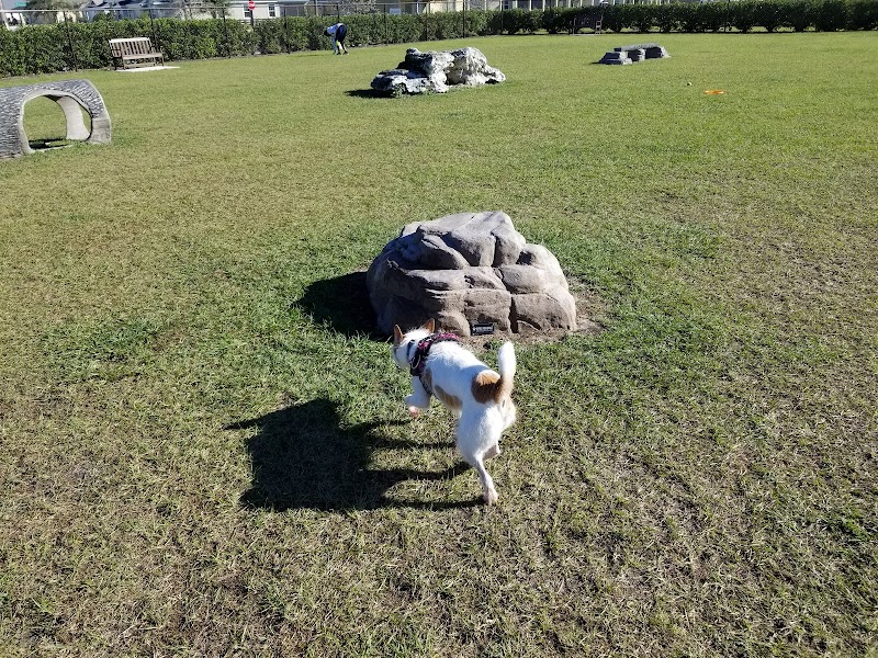 Dudley Canine Park photo 5