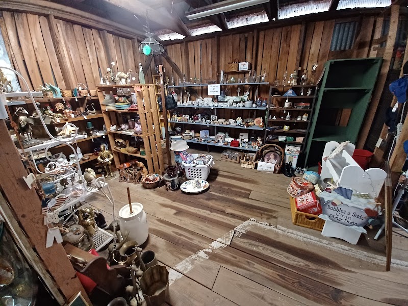 The Florida Native • Antiques & More photo 4