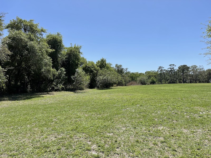 North City Park photo 3