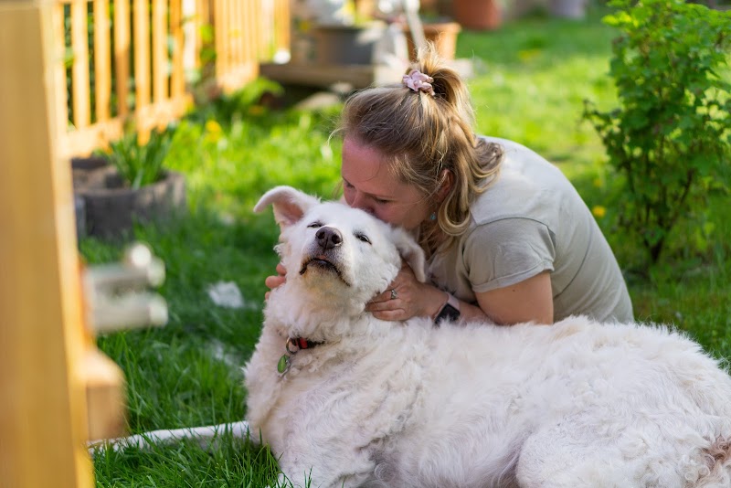 Photo of Fond Farewell In Home Euthanasia