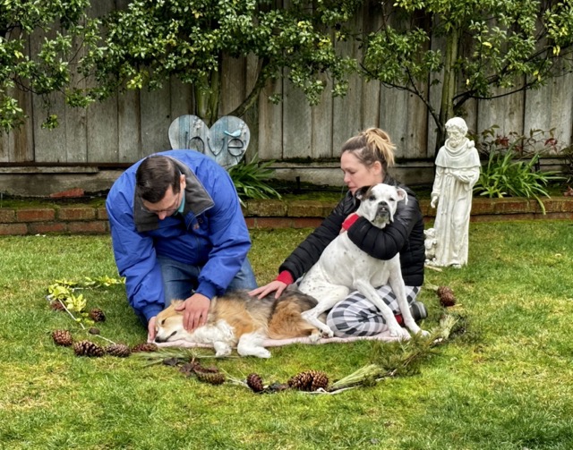 Fond Farewell In Home Euthanasia photo 2