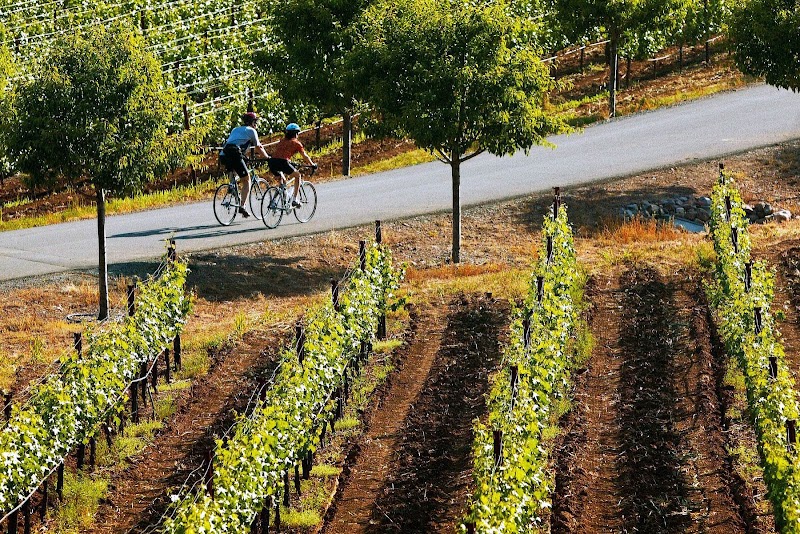 Winegrowers of Dry Creek Valley photo 3
