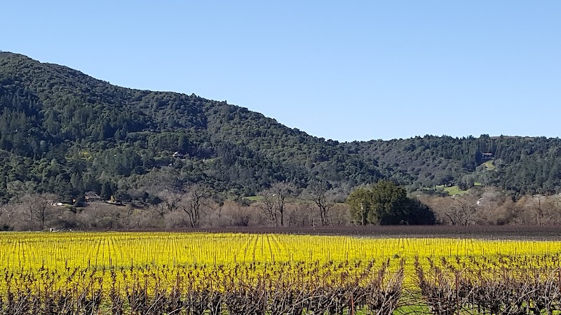 Winegrowers of Dry Creek Valley photo 4