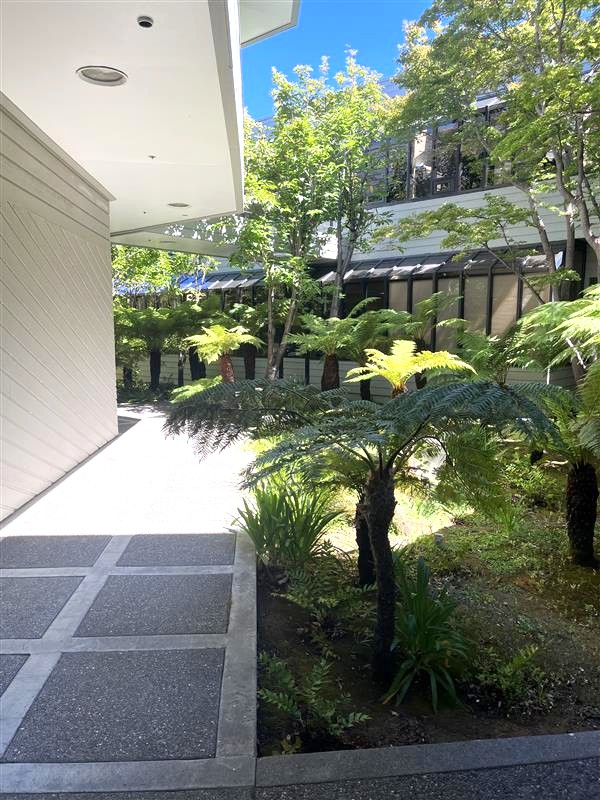 Bay Psychiatric Associates | Psychiatry, Ketamine, and TMS in Marin photo 5