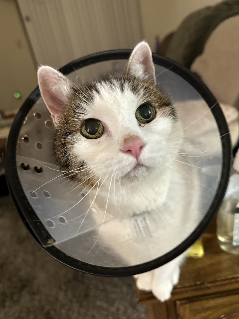Photo of Cotati Small Animal Hospital