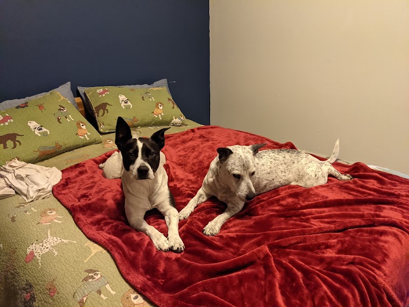 Cotati Small Animal Hospital photo 3