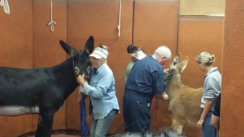 Cotati Small Animal Hospital photo 2