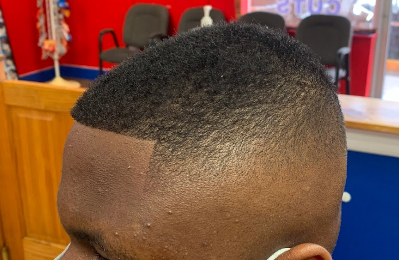 T K's Custom Cuts inc photo 2