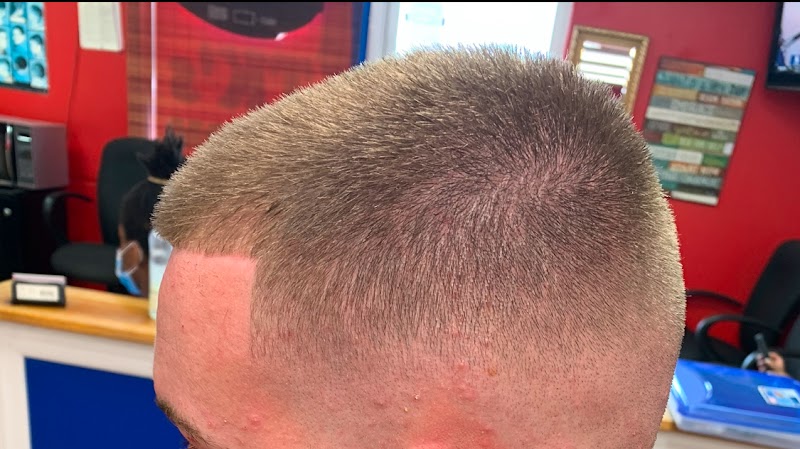 Photo of T K's Custom Cuts inc
