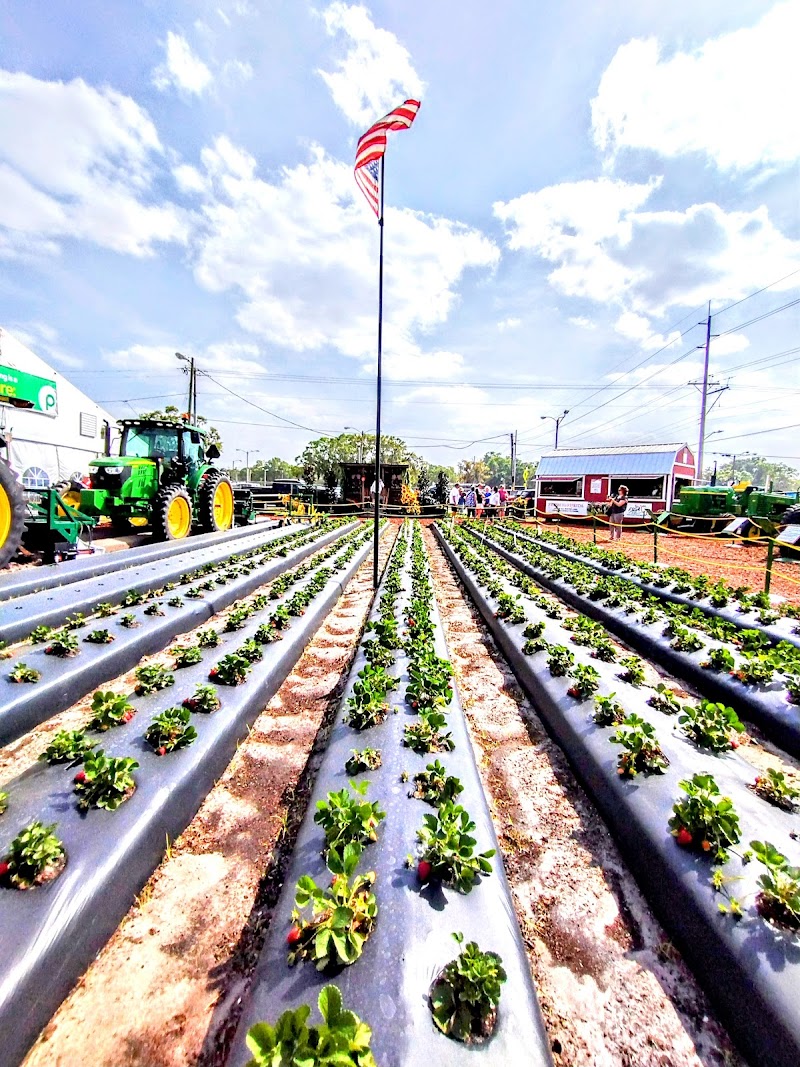 Florida Strawberry Festival Office photo 5