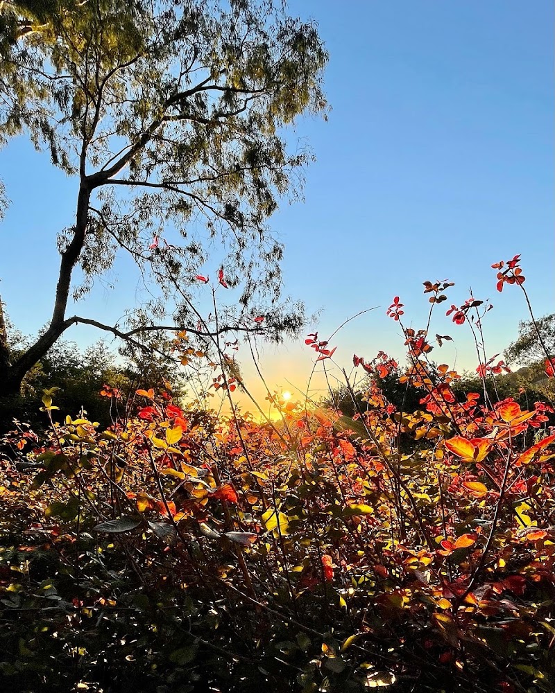 Pano photo 3