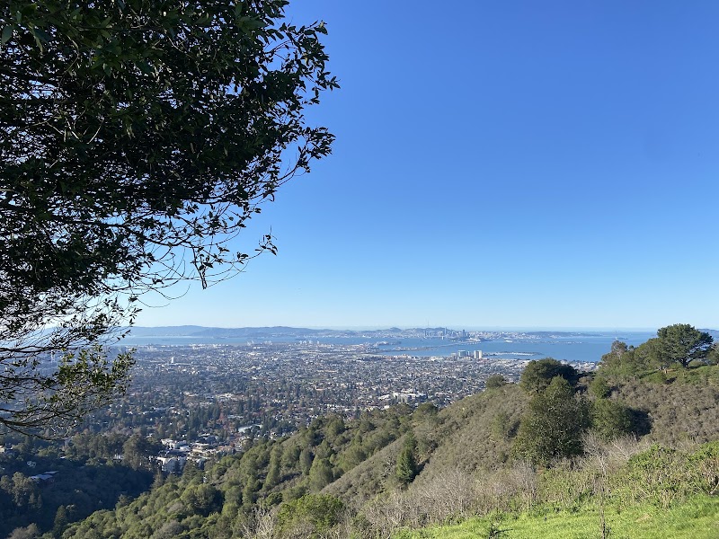 Photo of Pano