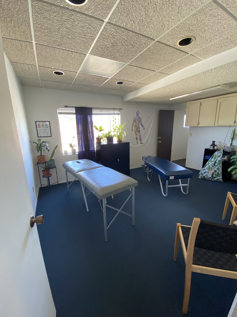 Limitless Chiropractic photo 3