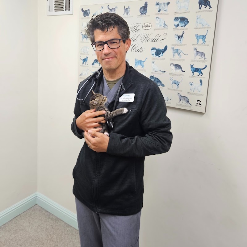 Photo of Disney Pet Hospital