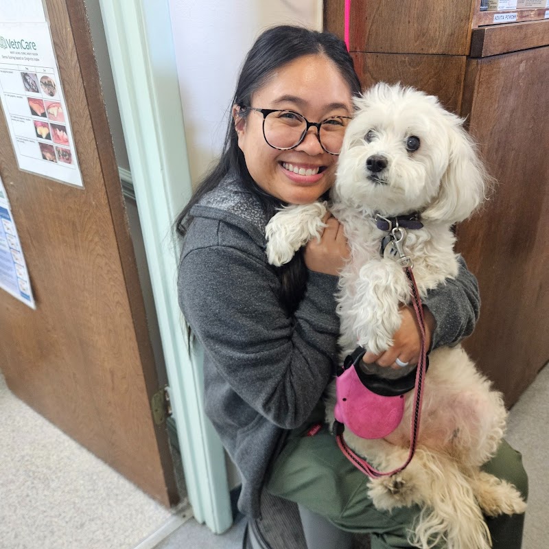 Disney Pet Hospital photo 5