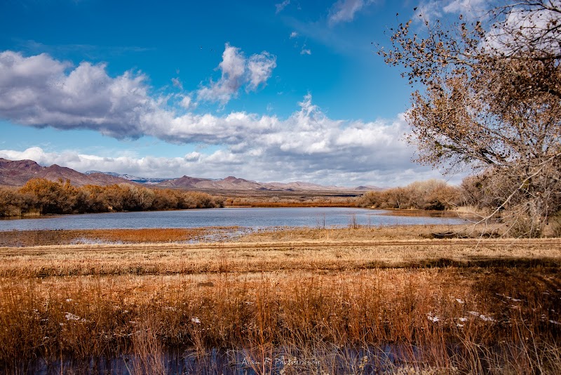 Photo of Bosque del Apache National Wildlife Refuge Visitor Center