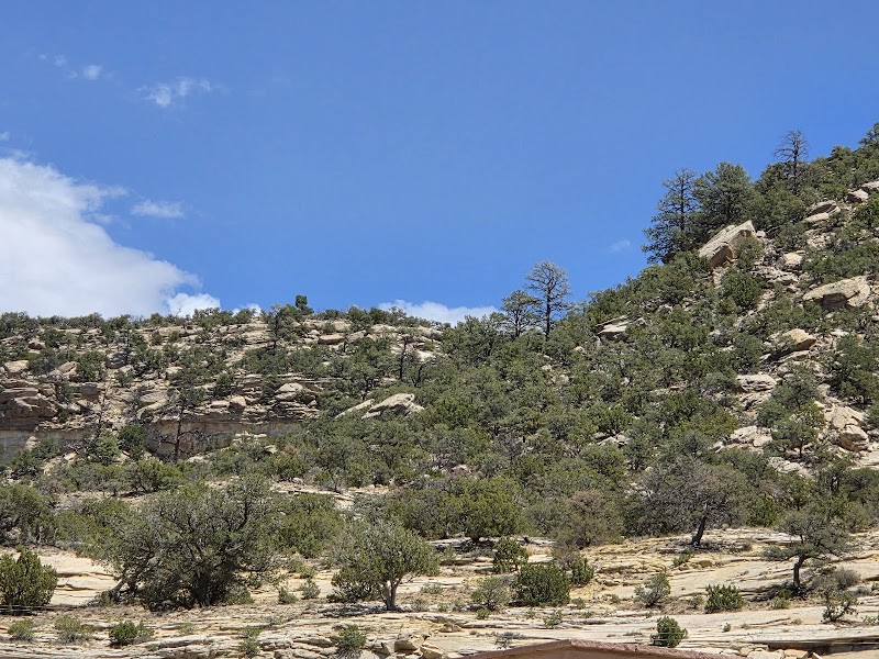 Manuelito Welcome Center photo 4