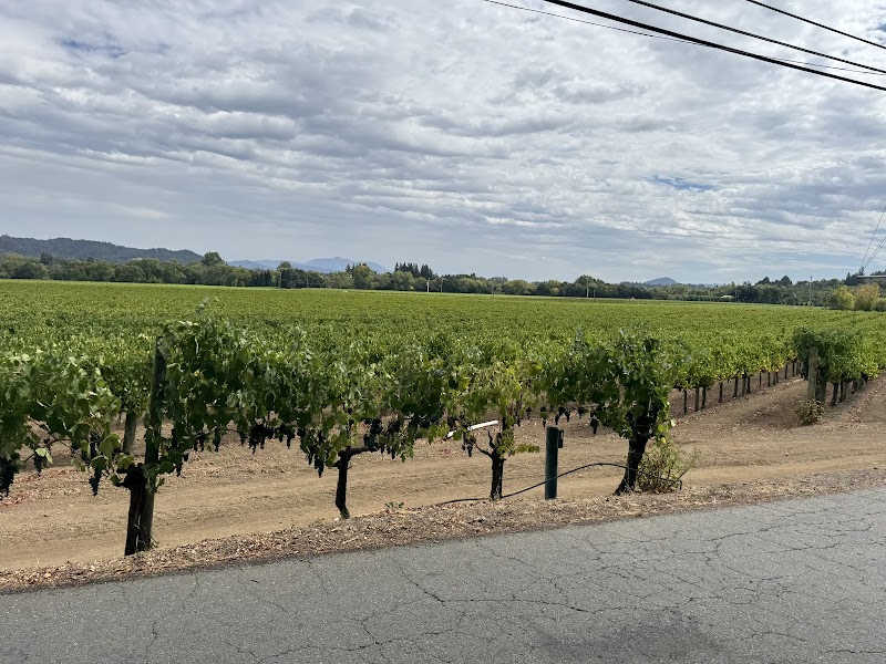 Bike Tour Sonoma photo 4