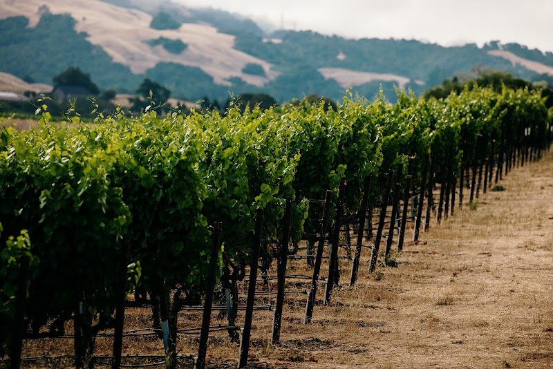 Photo of Bike Tour Sonoma