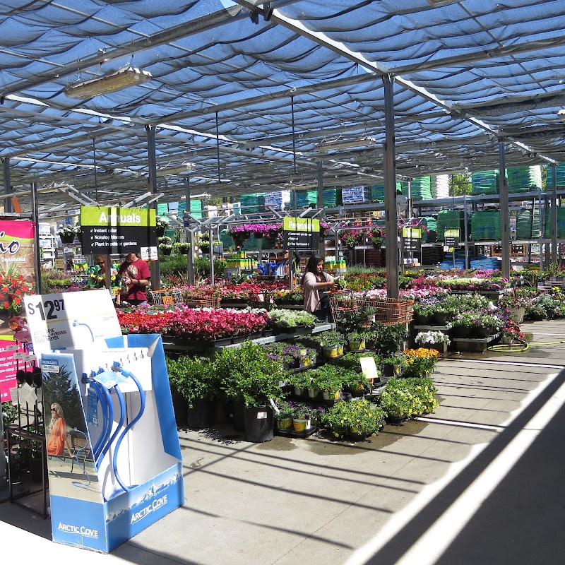 The Home Depot photo 4