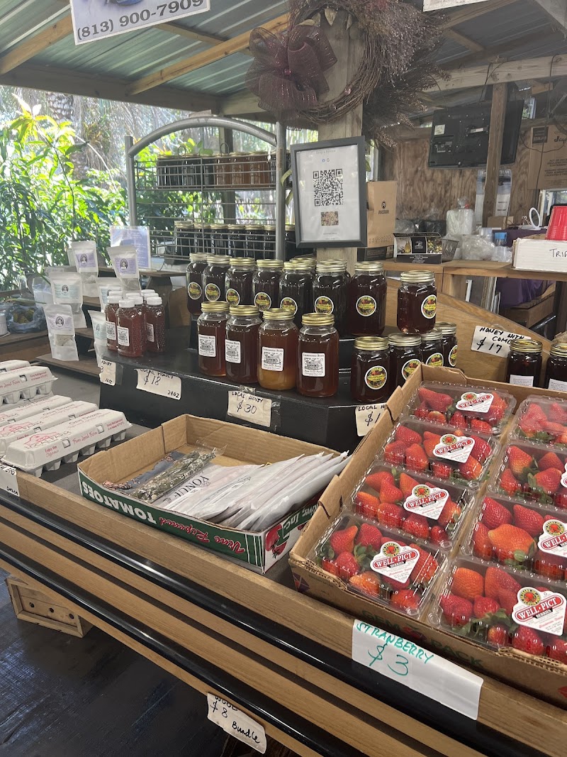 Photo of Gina's Fresh Produce
