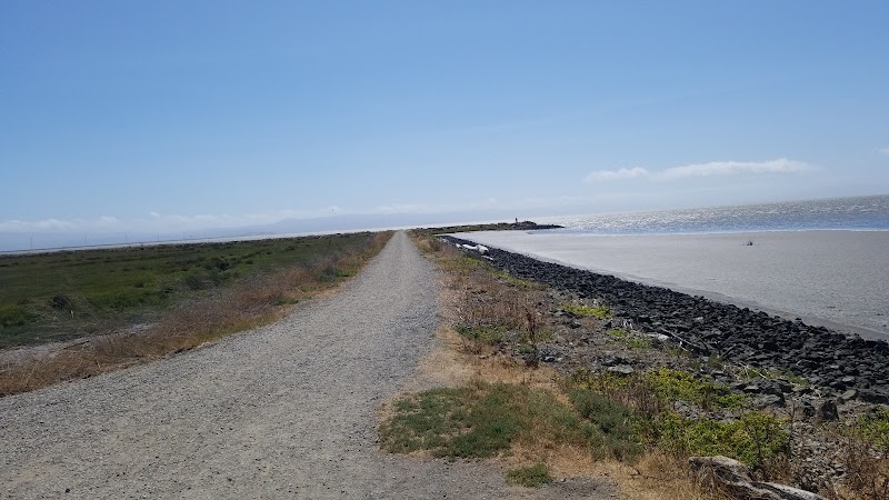 Hayward Regional Shoreline photo 2