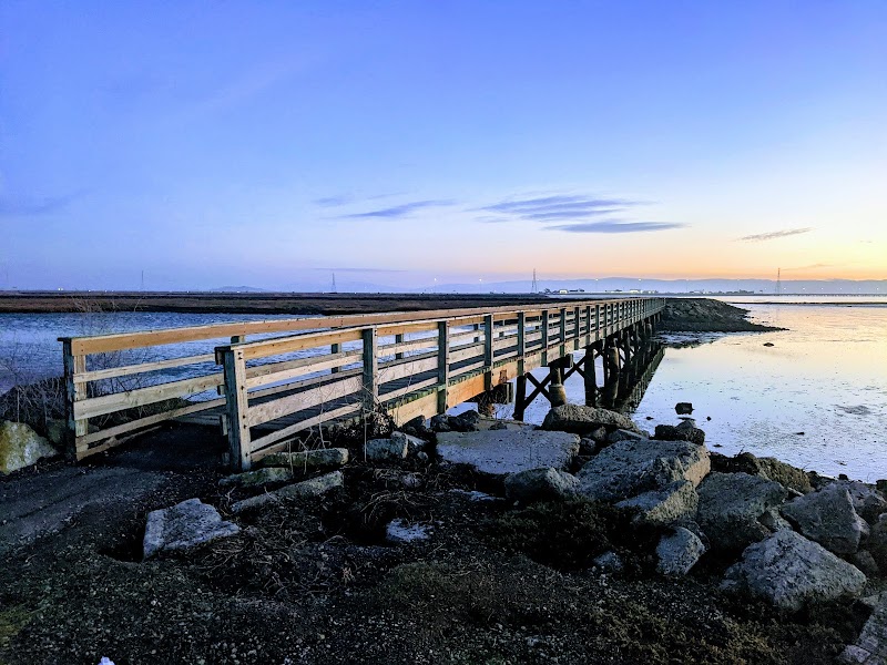 Hayward Regional Shoreline photo 3