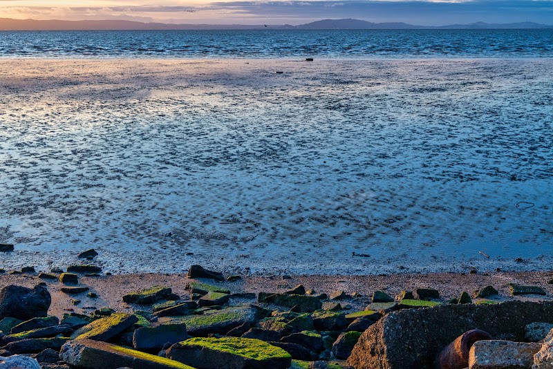 Hayward Regional Shoreline photo 5