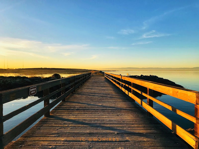 Photo of Hayward Regional Shoreline