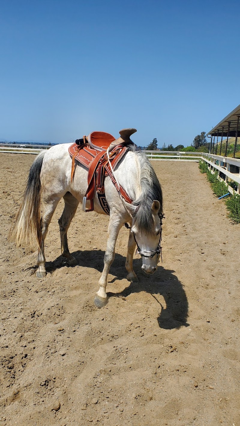 OOD Ranch photo 3
