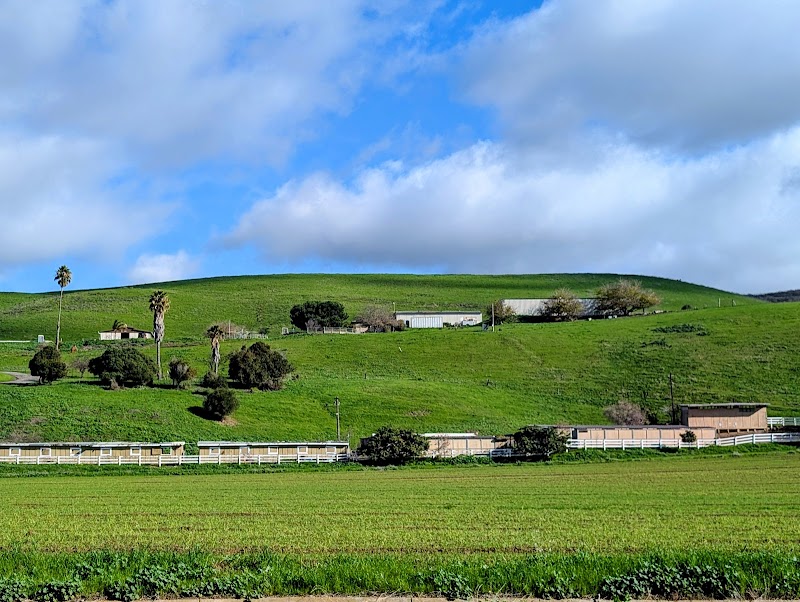 Photo of OOD Ranch